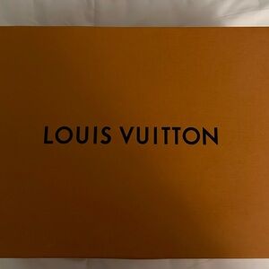 Louis Vuitton Ankle Boots